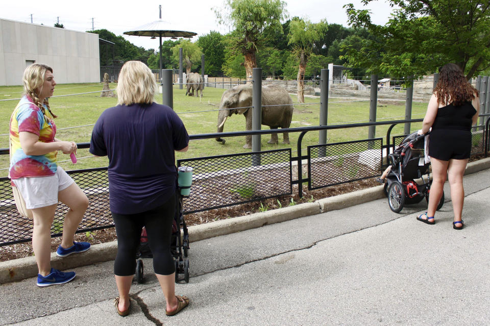 In this July 3, 2019, zoo goers look at the new elephant exhibit at the Milwaukee County Zoo. The zoo and county recently invested $16.6 million in an expanded and updated enclosure for their two African elephants. Of the 236 U.S. accredited zoos, only 62 hold elephants, according to the Association of Zoos and Aquariums, or AZA. That’s down from 77 elephants 15 years ago. (AP Photo/Carrie Antlfinger)