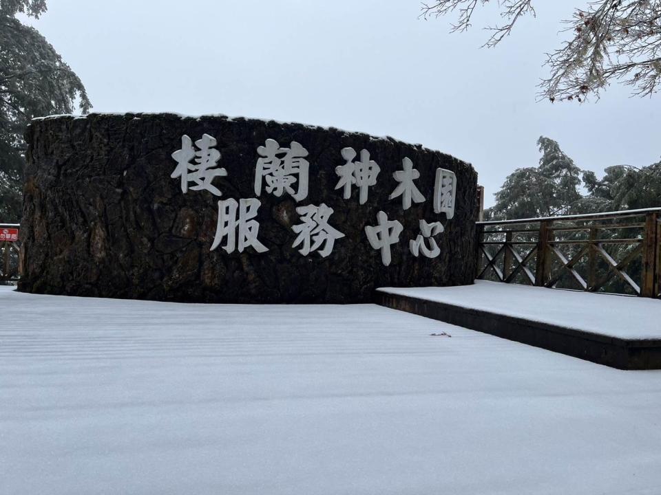 力麗馬告生態園區神木園區。圖片來源：力麗馬告生態園區提供