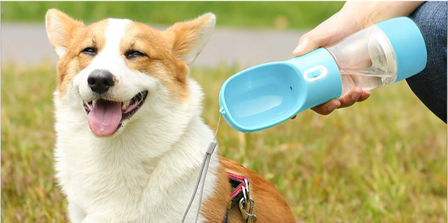 Husdow&#39;s Dog Water Bottle (Image via Amazon)