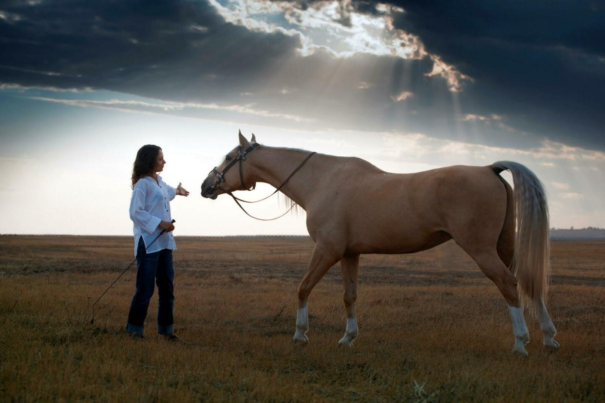 Une femme entraîne un cheval. « Plus il travaille avec des muscles relâchés, moins il aura besoin d’être sollicité pour développer sa locomotion », explique Patrice Franchet d’Espèrey, un ancien écuyer du Cadre noir de Saumur.  - Credit:Arman Novic/Shutterstock/Arman Novic