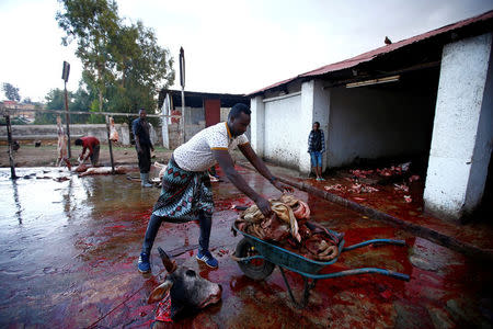 Abbas Yusuf, 23, known as Hyena Man, collects the leftover meat at the slaughterhouse within the walled city of Harar, Ethiopia, February 25, 2017. REUTERS/Tiksa Negeri