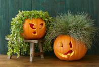 <p>Top your pumpkin with its very own plant toupee. Carve out the top of the gourd and tuck in a pot of grass or ivy for a truly awesome hairdo. </p>