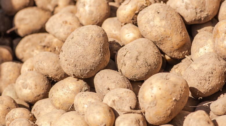 potatoes covered in soil