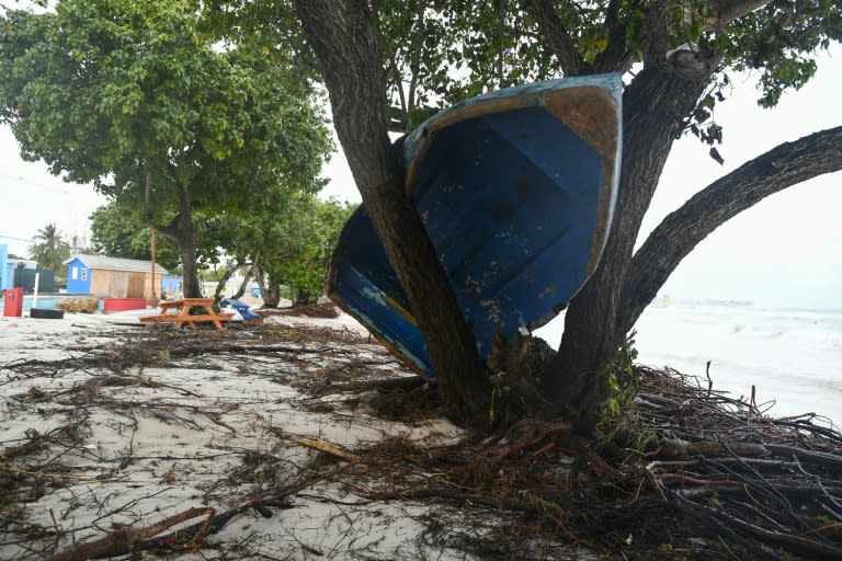 A boat ended up in a tree after the passage of Hurricane Beryl in Barbados (Randy Brooks)