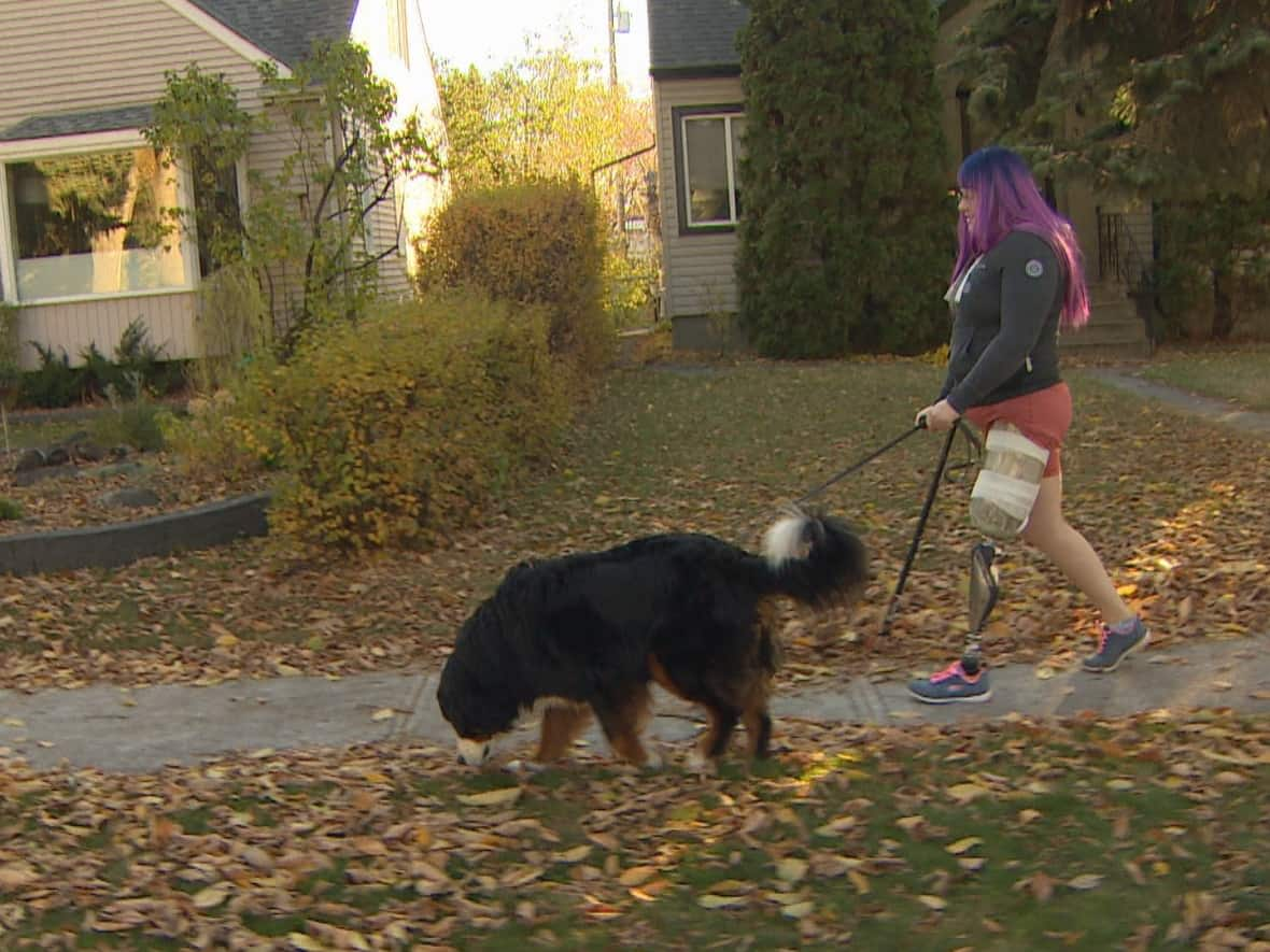 Angela Oakley walks her dog, Gretchen, in Edmonton while using her new microprocessor knee. (Nathan Gross/CBC - image credit)