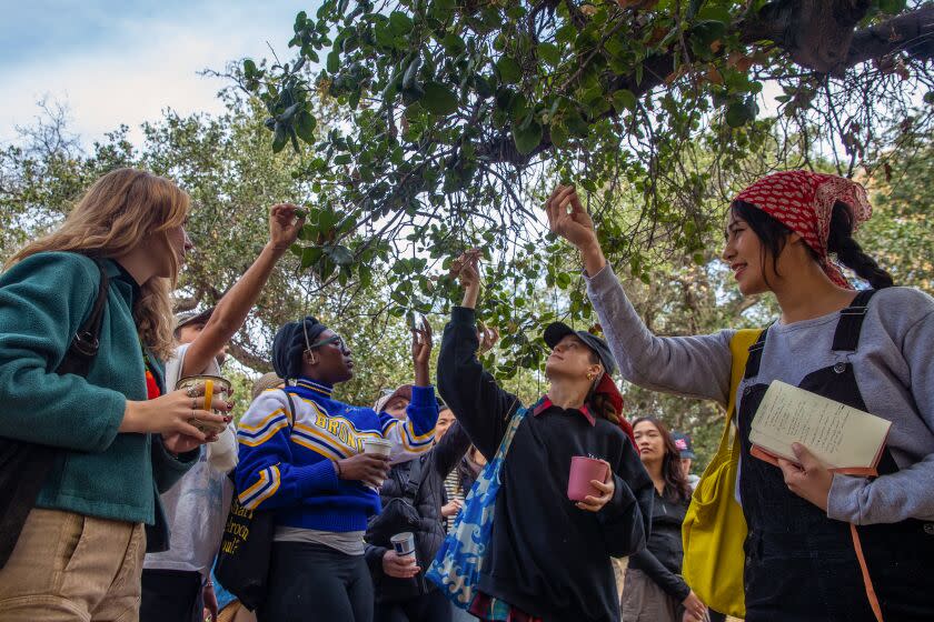 Pasadena, CA - February 18: Andrea Jimenez, in red headscarf, a herbalist and naturalist leads group on a nature walk, organized by USAL Project, through Hahamongna Watershed Park on Saturday, Feb. 18, 2023 in Pasadena, CA. (Irfan Khan / Los Angeles Times)