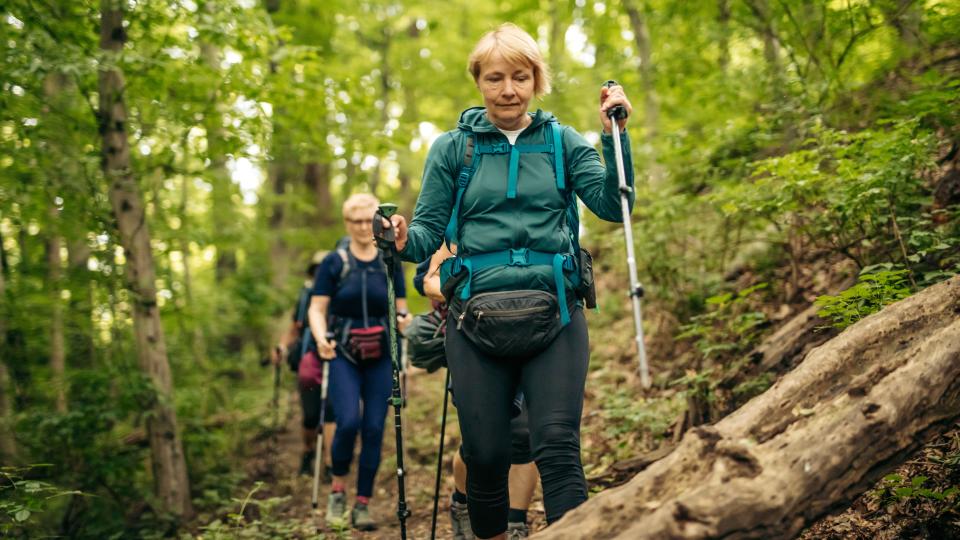female hikers with trekking poles walking on path in forest