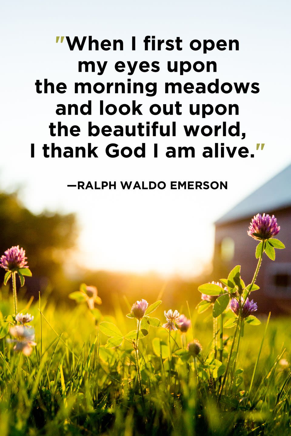 16) Ralph Waldo Emerson