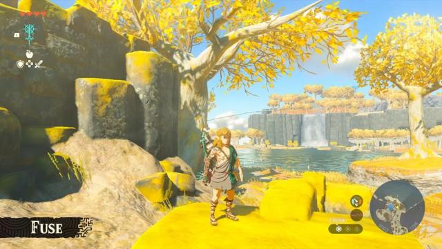 Next Zelda Game After Tears of the Kingdom Teased