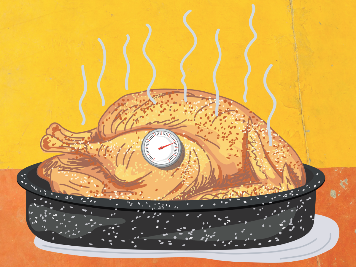 Roasting a turkey this Thanksgiving? Gobble up this $11 cult-fave  thermometer deal