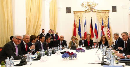 German Foreign Minister Frank Walter Steinmeier (L), French Foreign Minister Laurent Fabius (2nd L), EU Deputy Secretary General for the External Action Service Helga Schmid (7th L), European Union High Representative for Foreign Affairs and Security Policy Federica Mogherini (4th R), U.S. Secretary of State John Kerry (2rd R) and British Foreign Secretary Philip Hammond (R) meet along with representatives from China and Russia during nuclear talks at a hotel in Vienna, Austria July 10, 2015. REUTERS/Leonhard Foeger