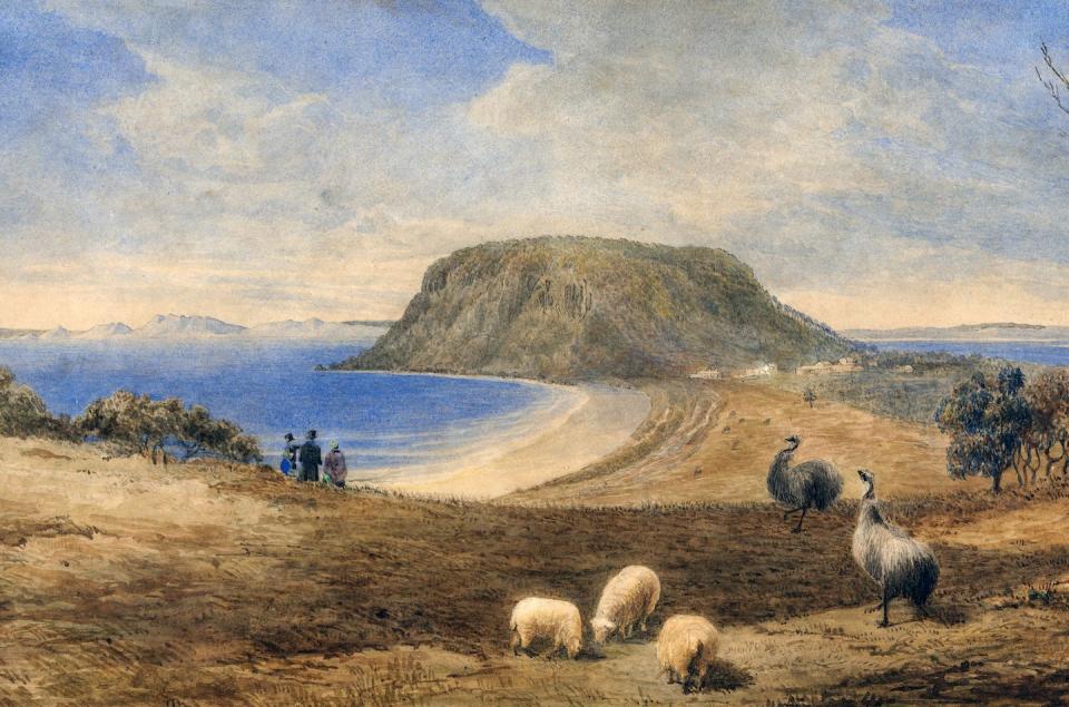 Emus at Stanley, Tasmania, during the 1840s, in a painting by William Porden Kay. They were rare by the middle of that decade. <a href="https://commons.wikimedia.org/wiki/File:Emus_at_Stanley_during_the_1840s.jpg" rel="nofollow noopener" target="_blank" data-ylk="slk:Wikimedia Commons;elm:context_link;itc:0;sec:content-canvas" class="link ">Wikimedia Commons</a>