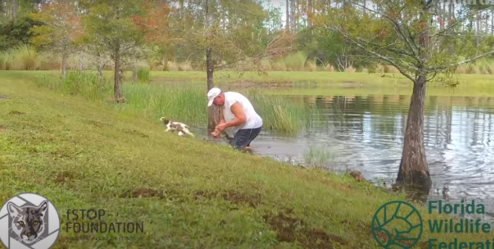 <p>The moment the puppy breaks frees from his reptilian assailant</p>fSTOP Foundation