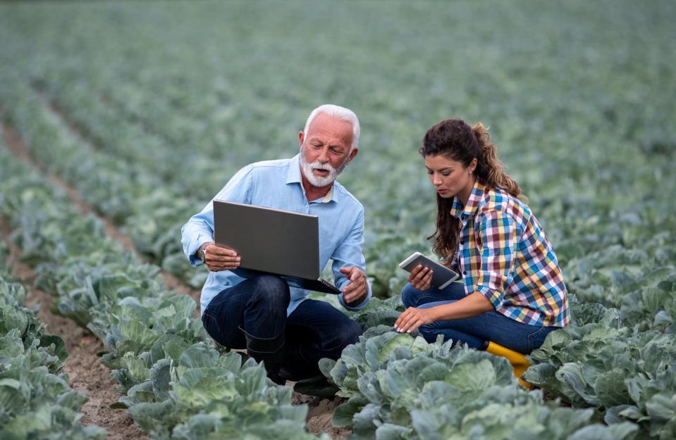 A white haired bearded man in a farmer's field with a younger woman looking at a laptop.