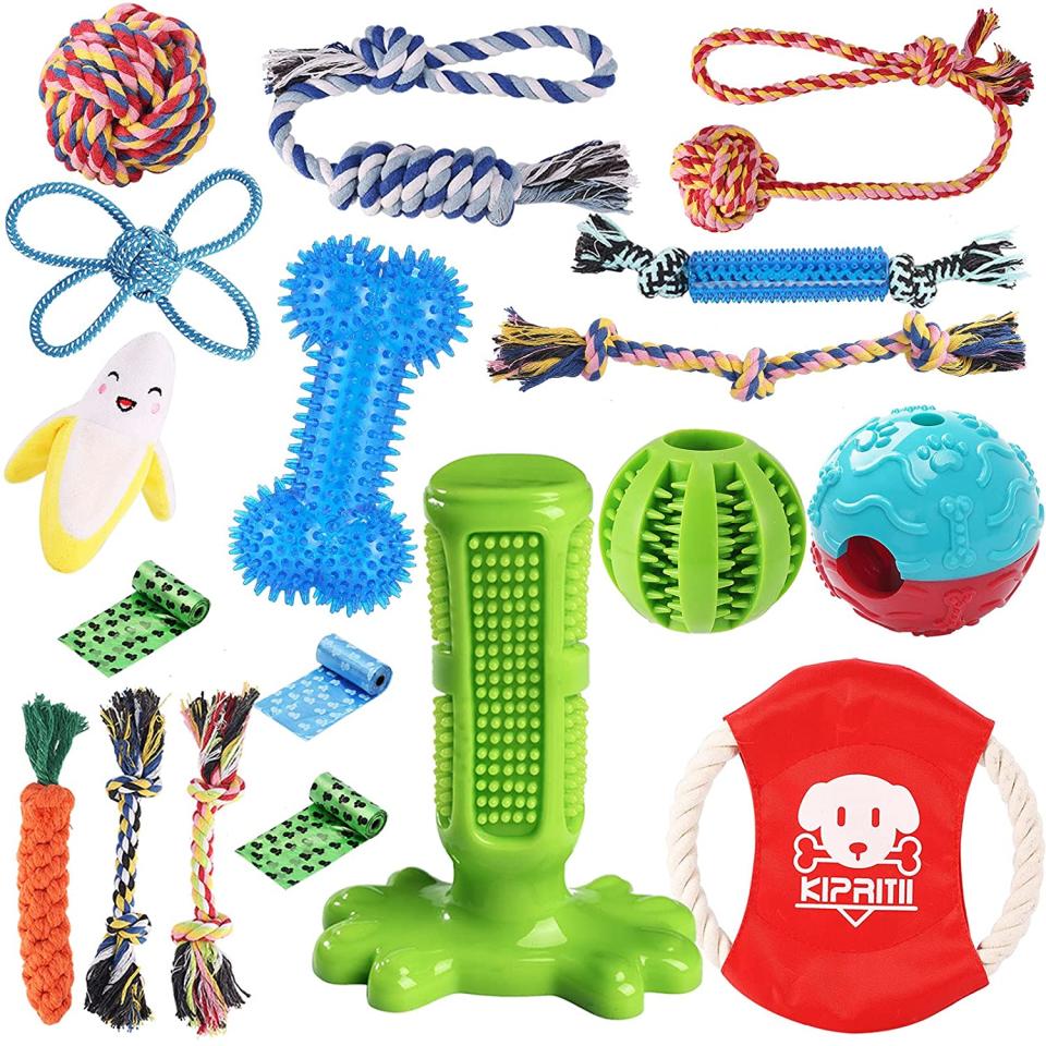 dog chew toy pack