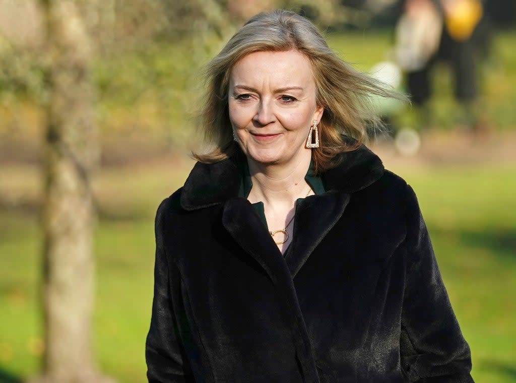 Foreign Secretary Liz Truss is leading UK negotiations with the EU over the Northern Ireland Protocol (Aaron Chown/PA) (PA Wire)