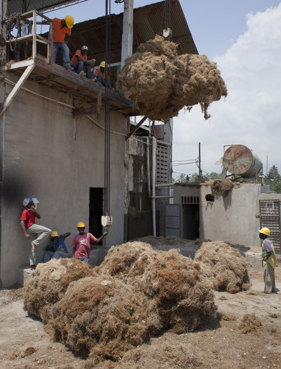 Workers move bales of Vetiver roots to be processed at the Agri-supply distillery on Haiti's southwest coast on March 27, 2014.