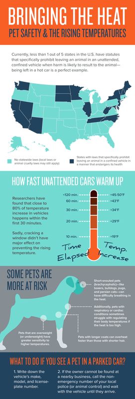 The death of a year-old dog left for 90 minutes in a closed and unvented SUV led to charges Wednesday against its owner, an east Fort Myers-area man. This chart shows how quickly a pet can succumb to being left in a vehicle.