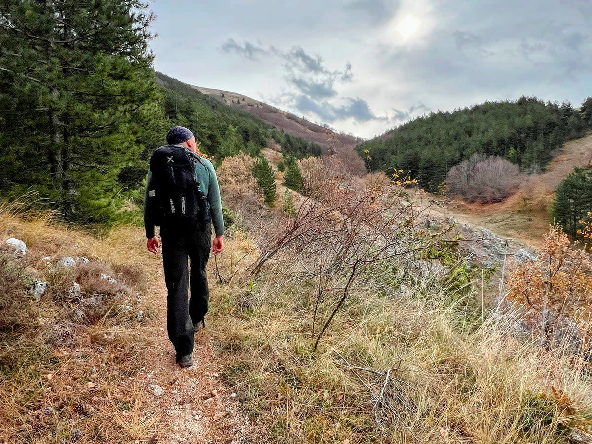 Wildlife guide Andrea De Angelis hikes through the wilderness (Megan Eaves)