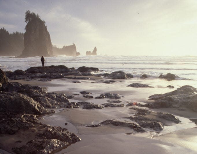 A hiker takes in the view along Second Beach at Olympic National Park. Most of the park is inland, but Olympic also protects a long stretch of Pacific coast.