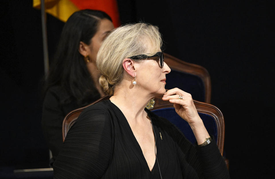 Meryl Streep (Carlos Alvarez / Getty Images)