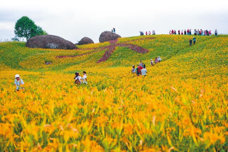 ▲花蓮六十石山是欣賞金針花的旅遊勝地。（圖／花蓮縣政府）