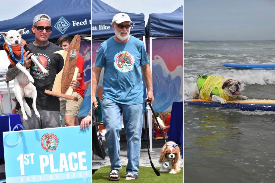 <p>Helen Woodward Animal Center</p> The Best-in-Surf participants from the 18th annual Surf Dog Surf-A-Thon held on Sept. 10, 2023.  The winners from left to right: Sugar in first place, followed by  Delilah and Guinness in second and third place respectively.