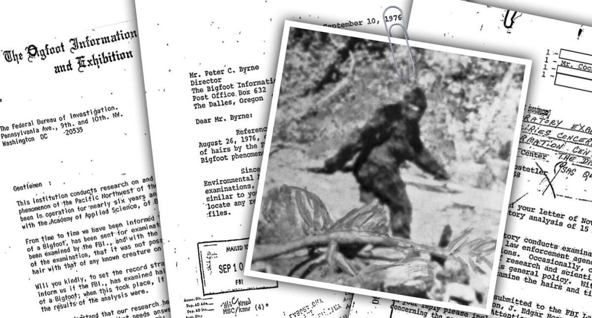 FBI unveils documents related to 1970s Bigfoot investigation - ABC