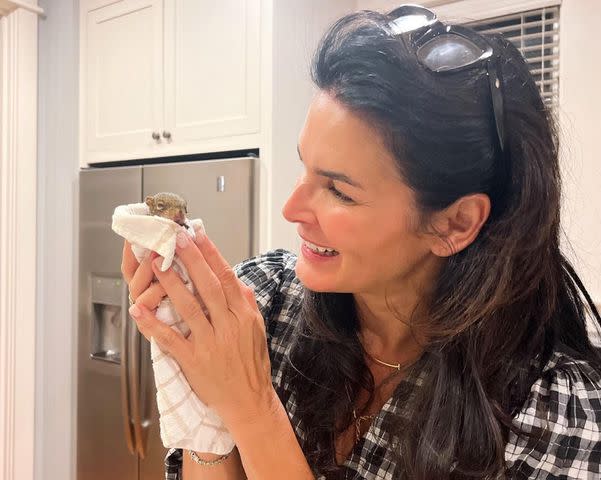 <p>Carrie Frank</p> Angie Harmon and her rescue squirrel, Thomas