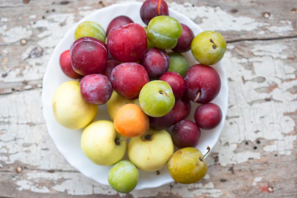 Im Juli werden Pflaumen, Mirabellen und Zwetschgen endlich reif - genießen Sie sie also am besten direkt aus Ihrem Garten! Sie haben weder Garten noch Pflaumen-Baum? Überhaupt kein Problem, die süßen Früchte gibt es ab sofort auch bei dem Obsthändler Ihres Vertrauens. (Bild: iStock / Bartosz Luczak)