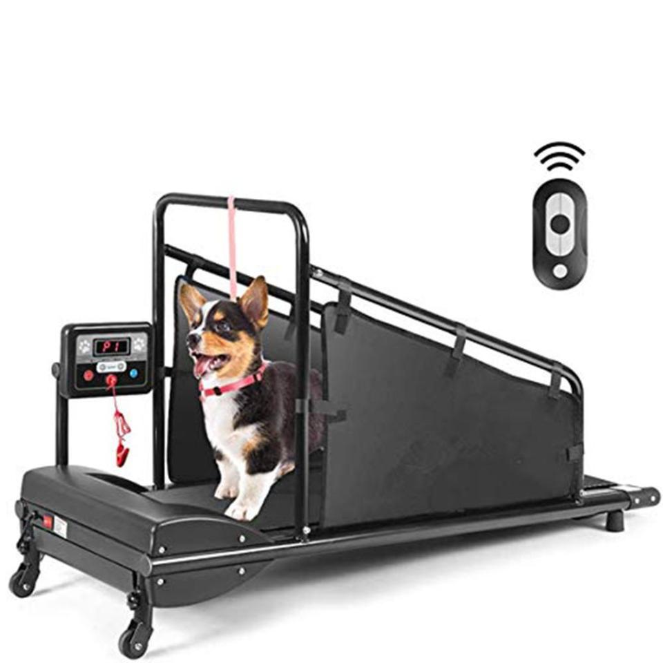 2) Goplus Dog Treadmill