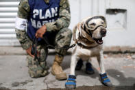 <p>A member of the Mexican Navy stands next to a rescue dog after an earthquake struck on the southern coast of Mexico. (Photo: Edgard Garrido/Reuters) </p>