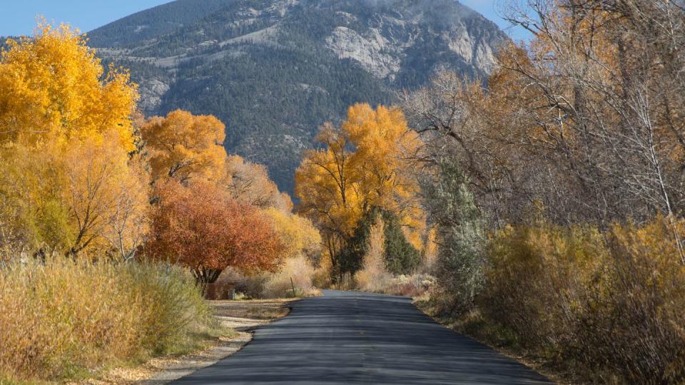 taos fall foliage