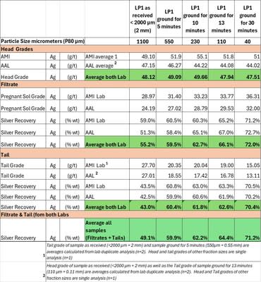 Leaching results NR 20240402