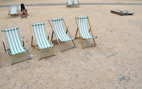 Parched grass in Hyde Park, London. Grass in many gardens has turned much the same colour - Credit:  TOBY MELVILLE/REUTERS 