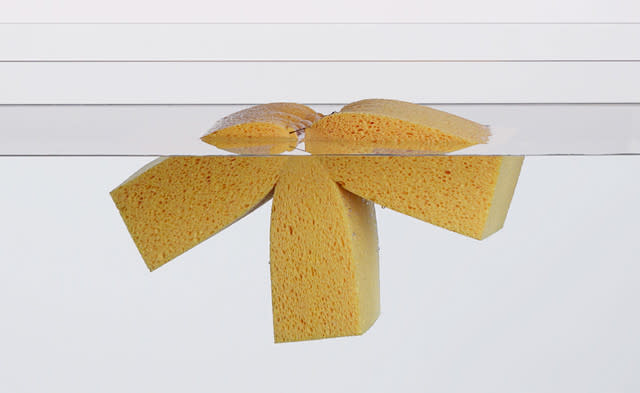 Grow Your Own Furniture! Swiss Scientists Create Sponge Furniture That Expands Into Shape