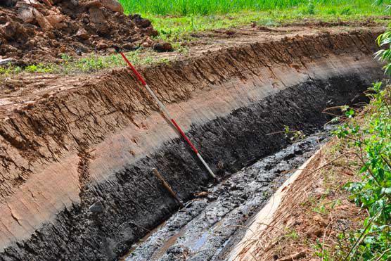 The timbers seem to be lined up with the middle of an ancient lake (part of which is shown here), suggesting the structures may have been part of a causeway to a crannog, or artificial island, constructed in the middle of the lake.