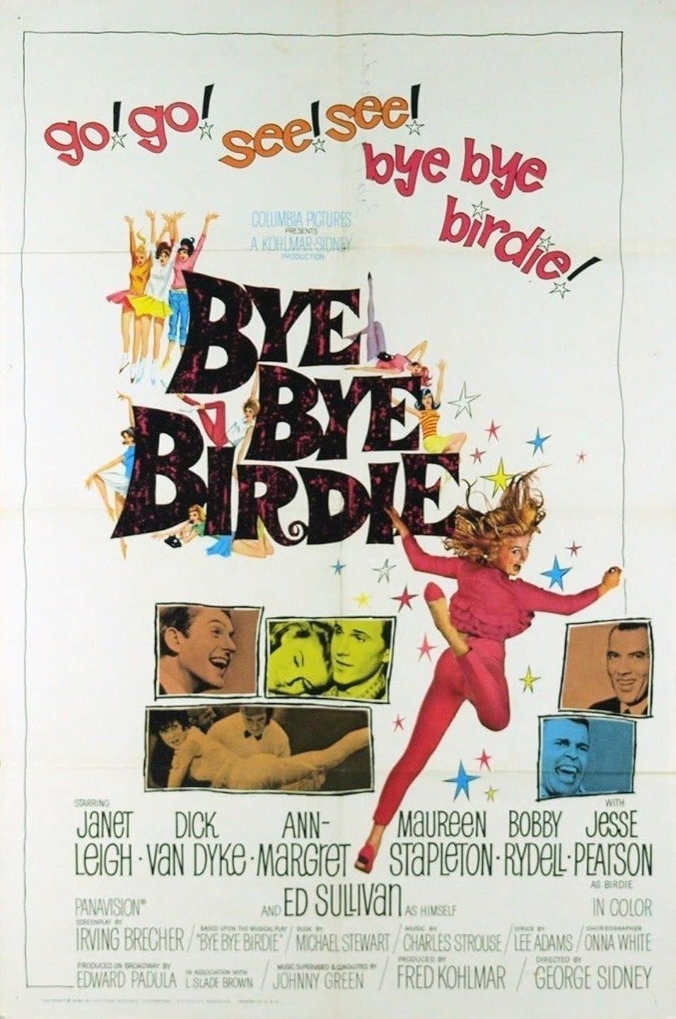 musical movies bye bye birdie