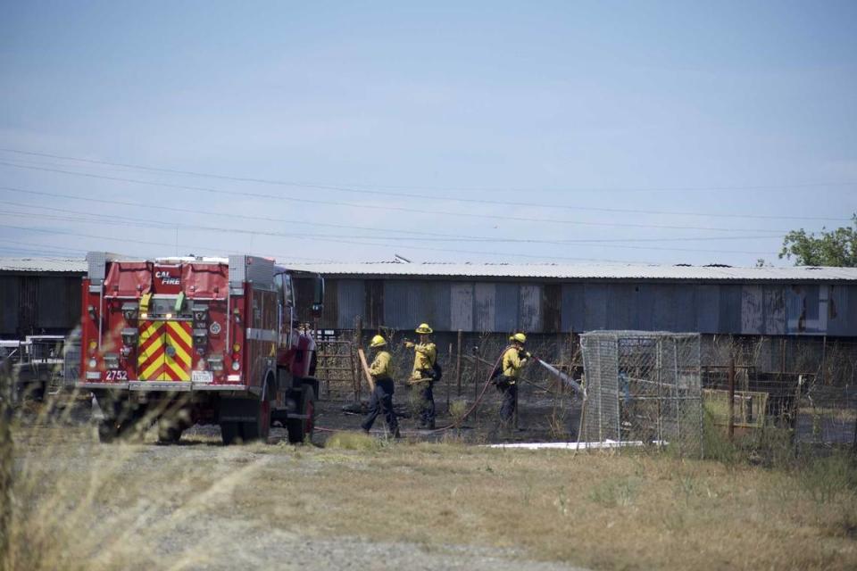 Fire crews from Cal Fire provide structure protection at a ranch Sunday, June 16, 2024. The Excelsior Fire burned more than 800 acres and destroyed at least two outbuildings along Jackson Road.