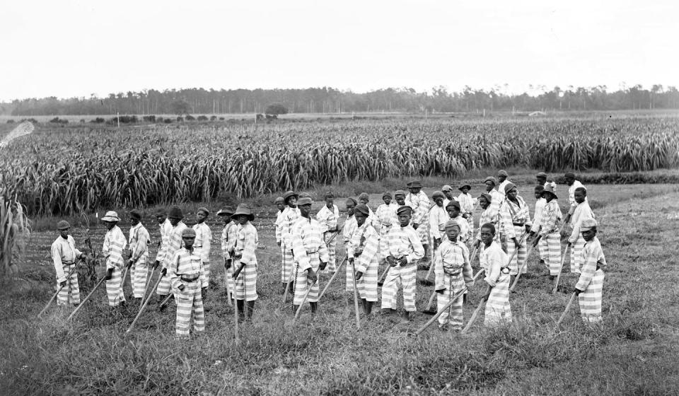 <span class="caption">African American convicts working in the fields in a chain gang, 1903.</span> <span class="attribution"><a class="link " href="https://www.gettyimages.com/detail/news-photo/african-american-convicts-working-in-the-fields-in-a-chain-news-photo/871633942?adppopup=true" rel="nofollow noopener" target="_blank" data-ylk="slk:Photo by: Photo 12/Universal Images Group via Getty Images;elm:context_link;itc:0;sec:content-canvas">Photo by: Photo 12/Universal Images Group via Getty Images</a></span>