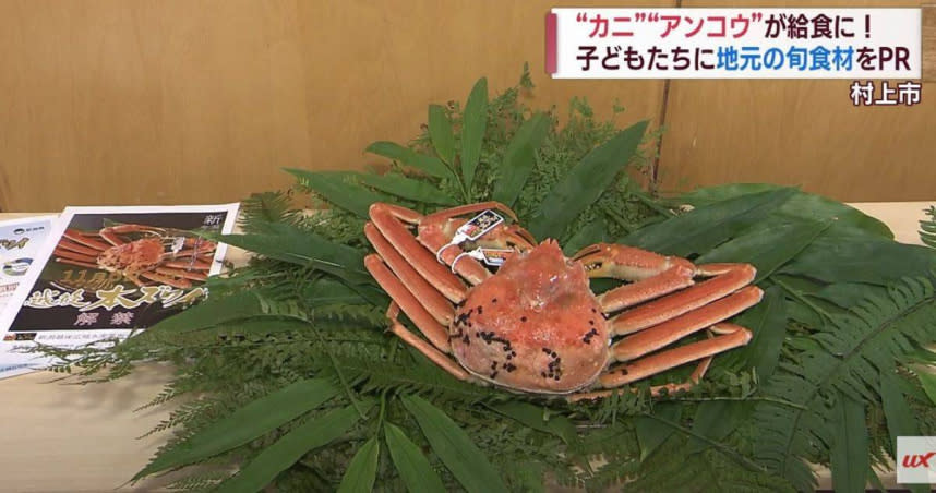 新潟縣岩船中學與當地政府合作，提供給學生一人一隻松葉蟹當作營養午餐。（圖／翻攝自YT：UX新潟テレビ21）