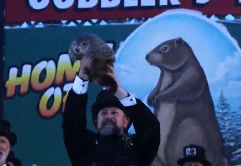 Pennsylvania's most famous groundhog emerged from the snow and saw his shadow and declared there would be six more weeks of winter   on Tuesday, Feb. 2, 2021.  / Credit: https://www.groundhog.org/