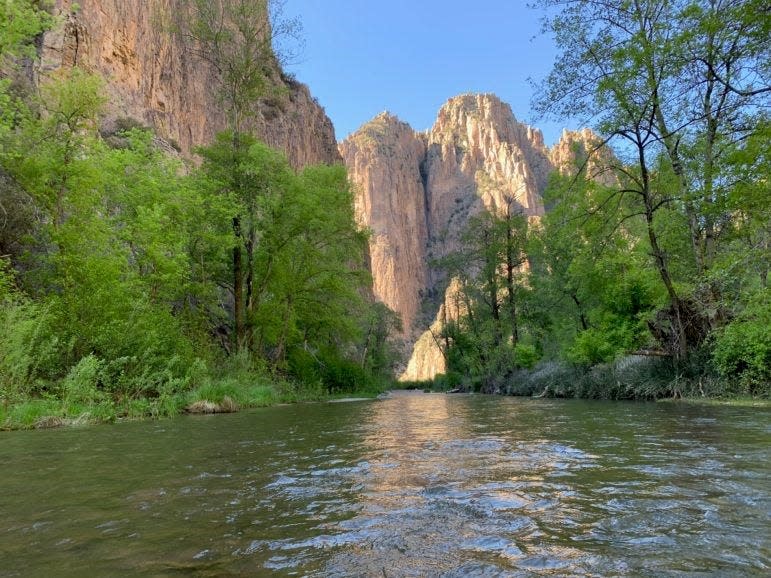 The Gila River, the last free-flowing major river in the Southwest, repeatedly saved by local environmentalists from being dammed and diverted.