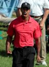 FILE PHOTO: Tiger Woods reacts after a birdie on the 16th hole during the final round of the Memorial Tournament at Muirfield Village Golf Club in Dublin, Ohio.