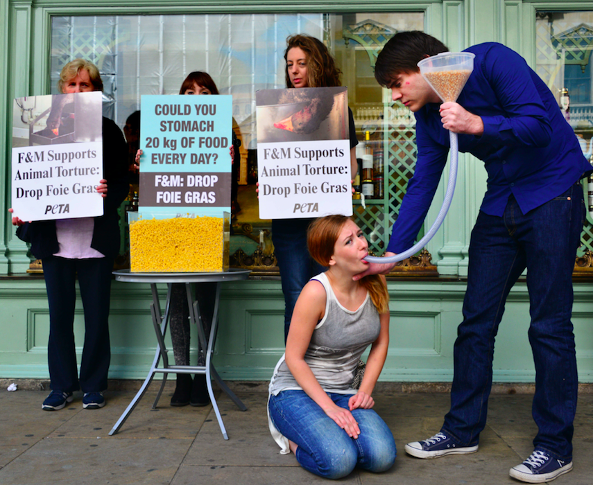 <em>There is a production ban on foie gras in the UK but shops can sell imports (Rex)</em>