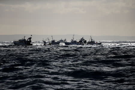 FILE PHOTO: A flotilla of more than a hundred trawlers wait until noon and the start of scallop season at Bay of Seine, Manche sea, France, November 13, 2017. Picture taken November 13, 2017. REUTERS/Pascal Rossignol/File Photo