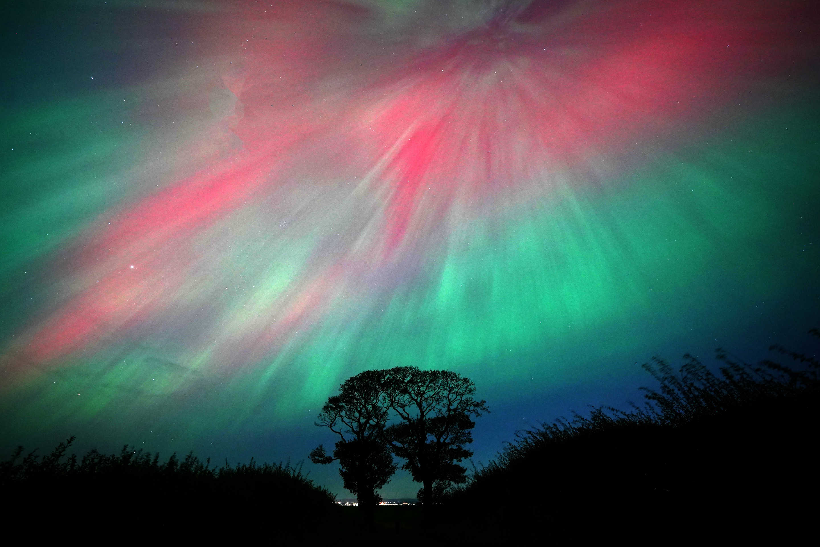 Aurora borealis behind silhouette of trees.