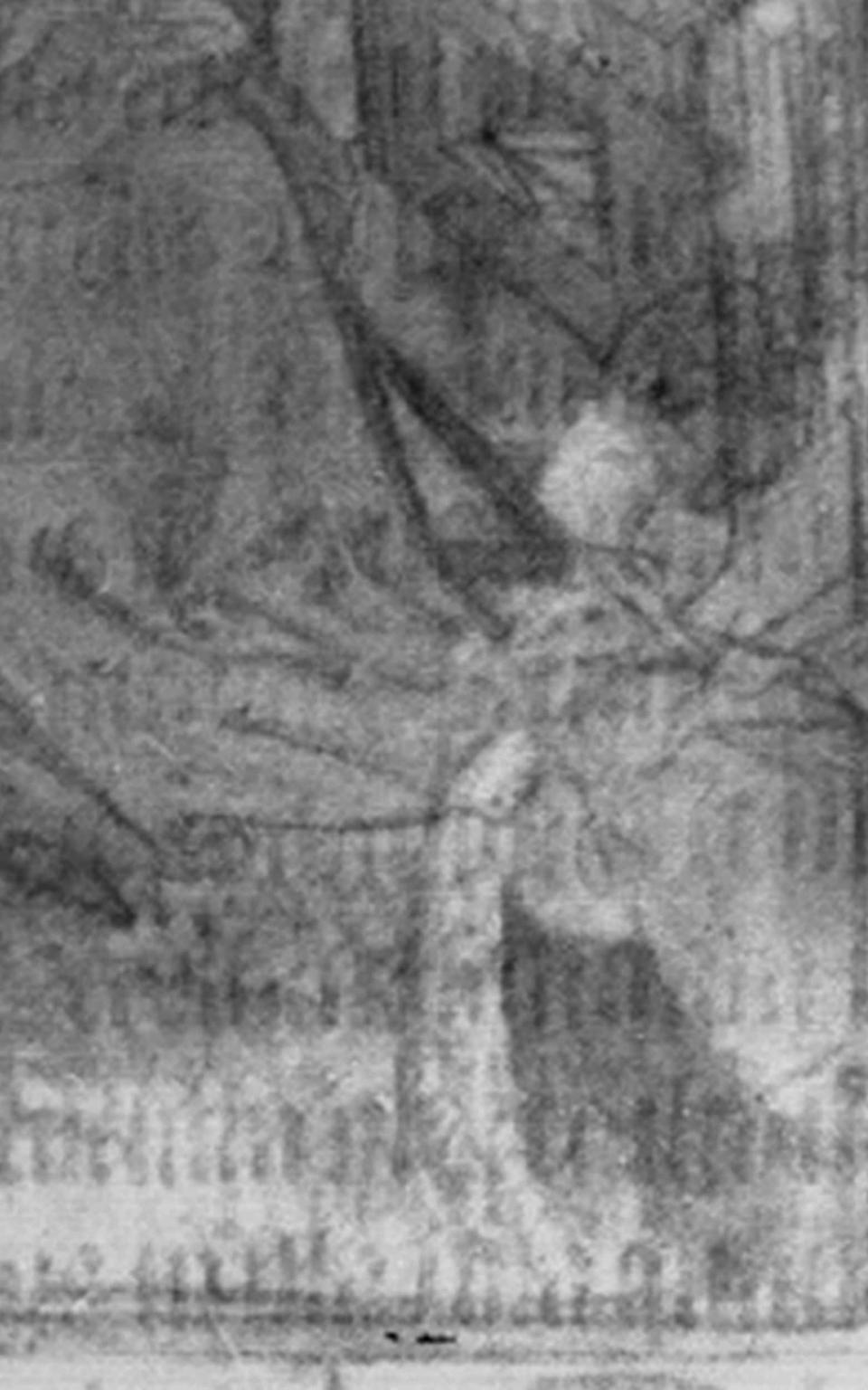 Infrared image showing the original underdrawing, with Virgin Mary's robe reaching as far as the margin, the kneeling figure of first wife Yolande with a large headdress – and without the figure of St Catherine - Fitzwilliam Museum/PA