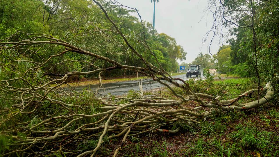 Fallen trees in a suburb in Cairns, Australia, on December 16, 2023 after heavy rains. - Joshua Prieto/AAP/AP