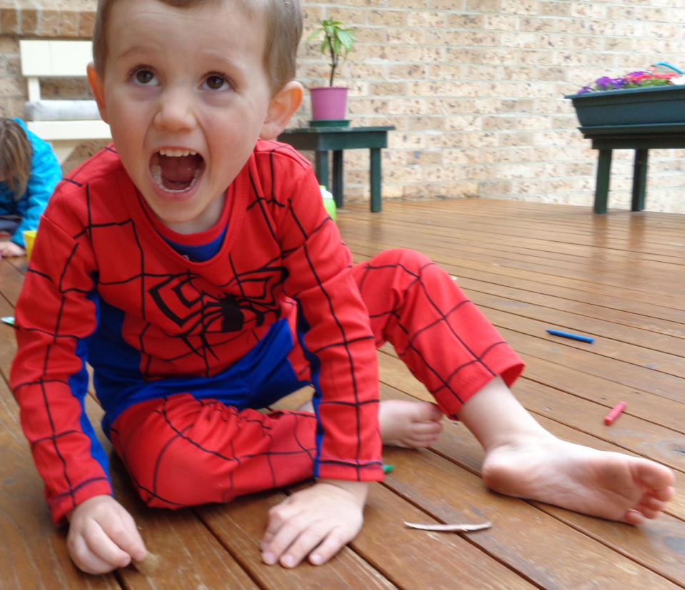 William Tyrrell, pictured in his iconic Spiderman outfit, disappeared from his foster grandmother's' home in Kendall in September 2014.